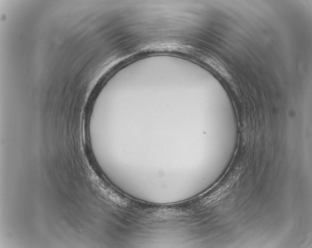 X0000060270984200511181415