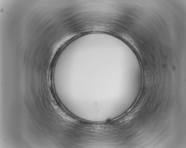 X0000060270987200511181415