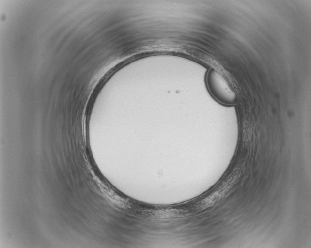 X0000060270988200511181415