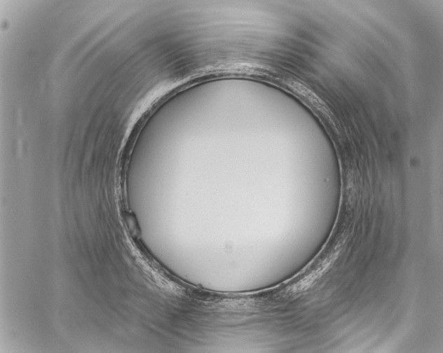 X0000060270989200511181415