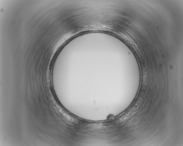 X0000060270990200511181415