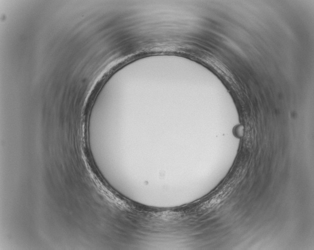 X0000060270992200511181415