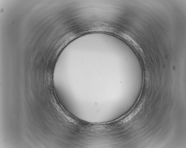 X0000060270993200511181415