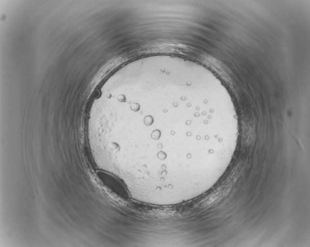 X0000060270994200511181415