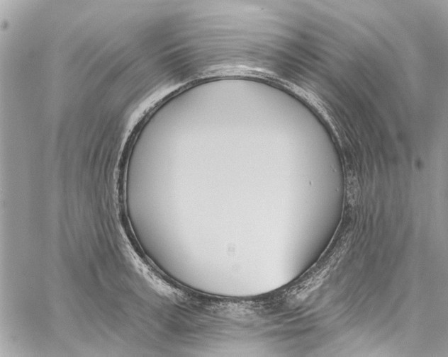 X0000060270995200511181415