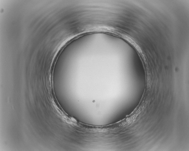 X0000060270996200511181415