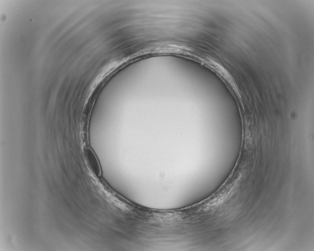 X0000060270997200511181415