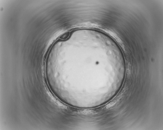 X0000060270998200511181415