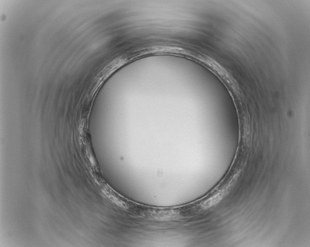 X0000060271001200511181415