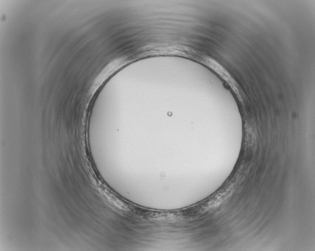 X0000060271002200511181415