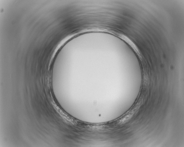 X0000060271004200511181415