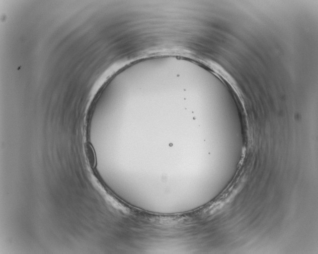 X0000060271005200511181415