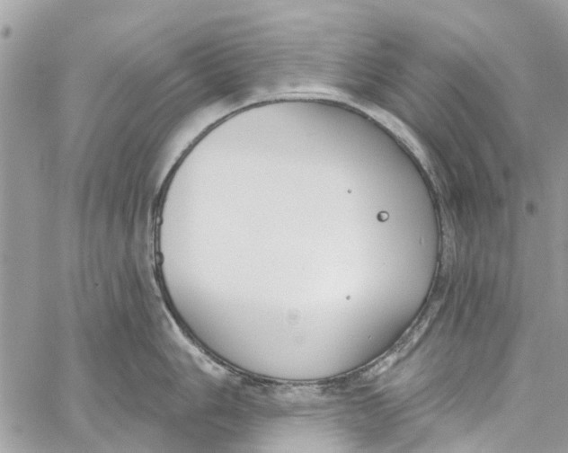 X0000060271006200511181415