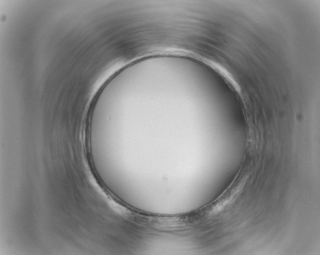 X0000060271007200511181415