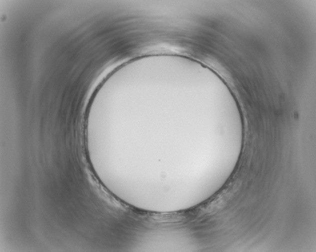 X0000060271008200511181415