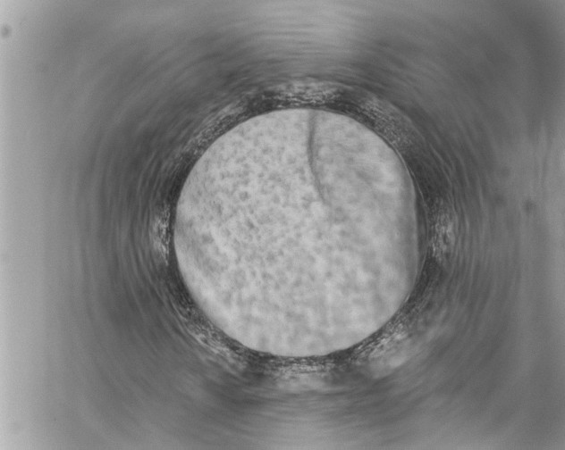 X0000060271010200511181414