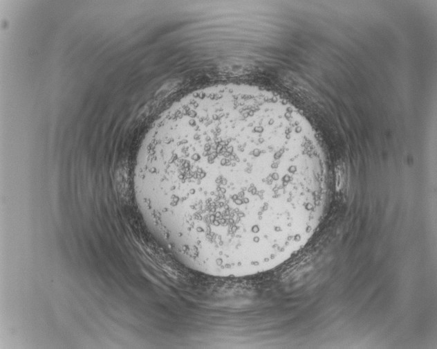 X0000060271011200511181414