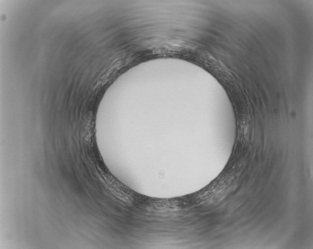 X0000060271012200511181414