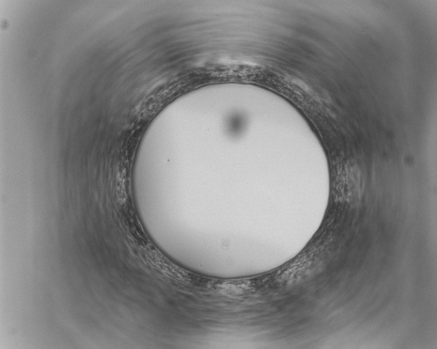 X0000060271013200511181414