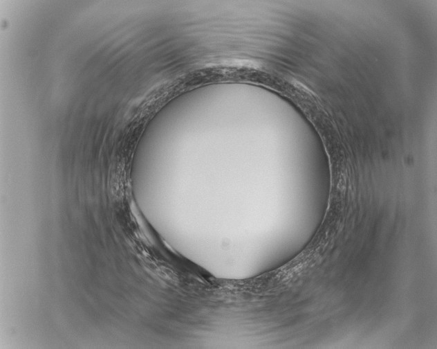 X0000060271014200511181414