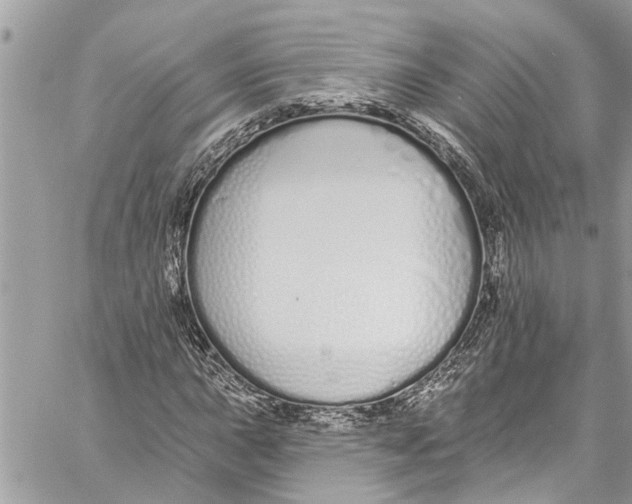 X0000060271015200511181414