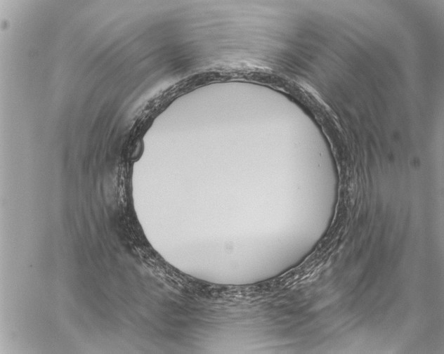 X0000060271016200511181414