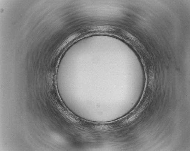 X0000060271017200511181414