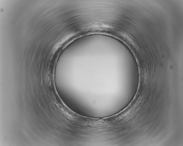 X0000060271018200511181414