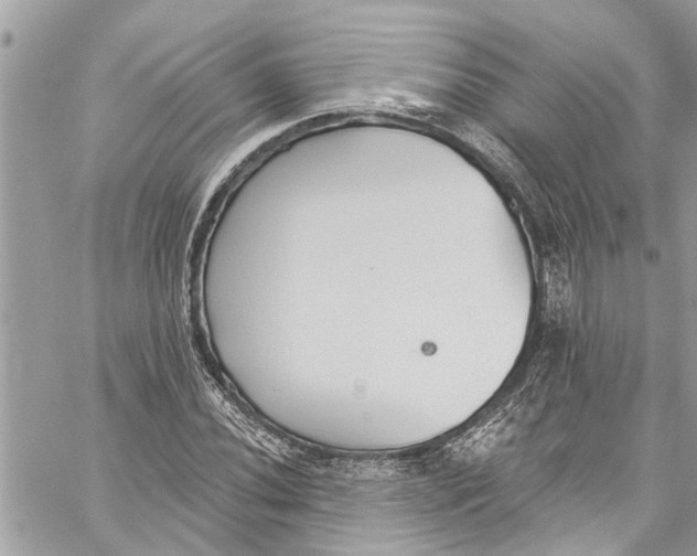 X0000060271020200511181414