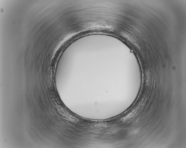 X0000060271021200511181414