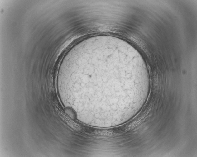 X0000060271023200511181414