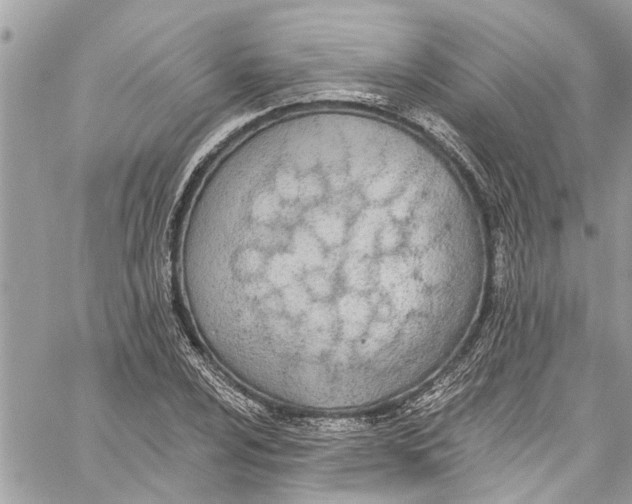 X0000060271024200511181414