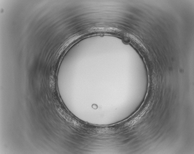 X0000060271025200511181414