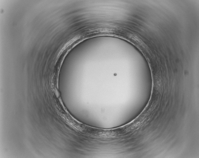 X0000060271026200511181414