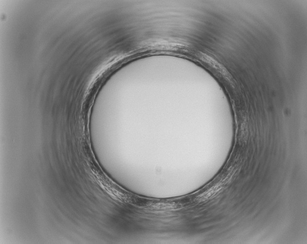 X0000060271027200511181414