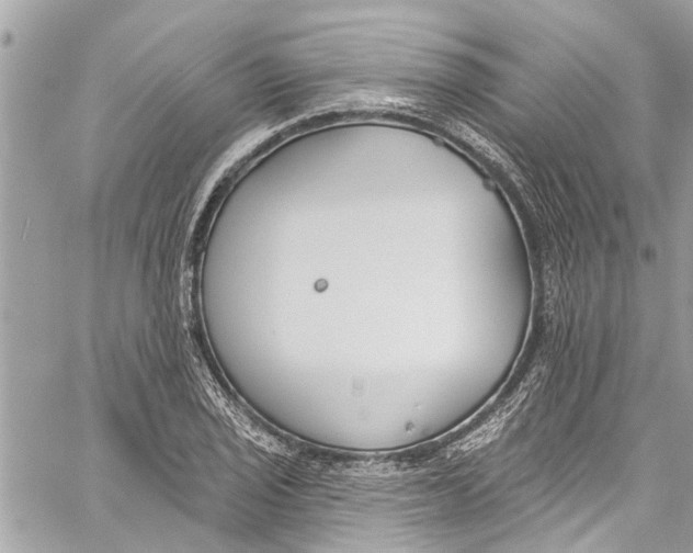 X0000060271029200511181414