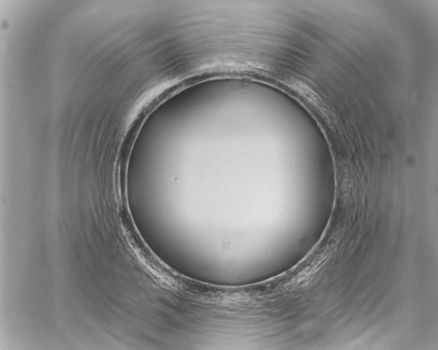 X0000060271030200511181414