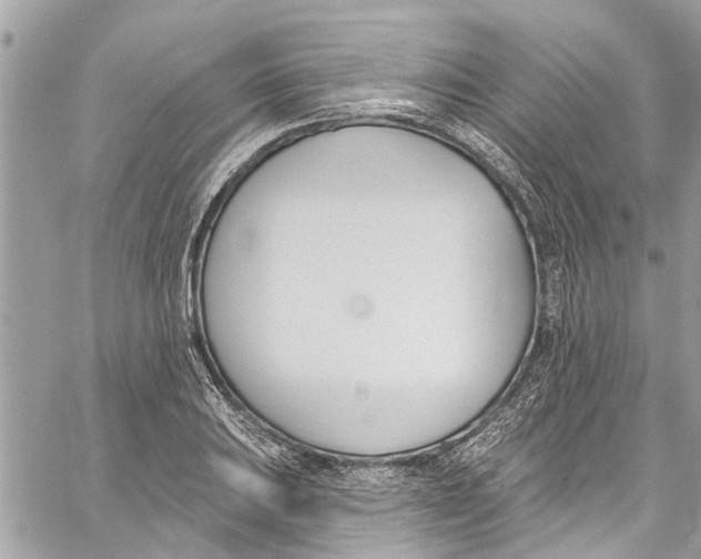 X0000060271031200511181414