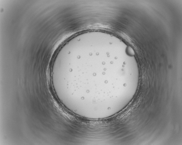 X0000060271032200511181414