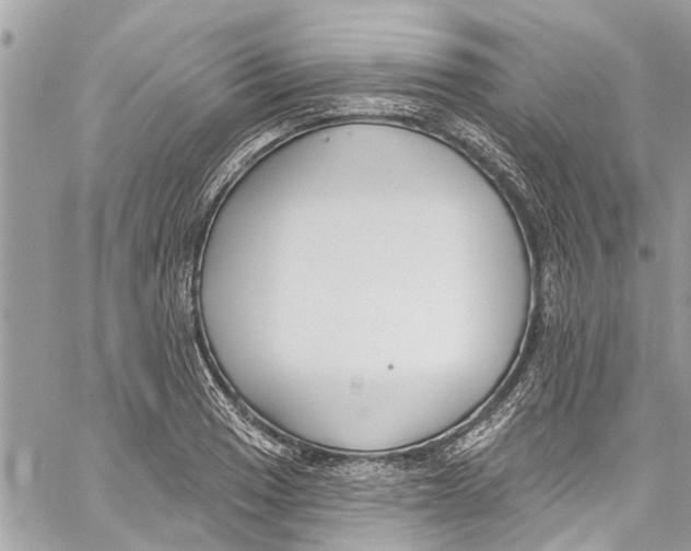 X0000060271033200511181414