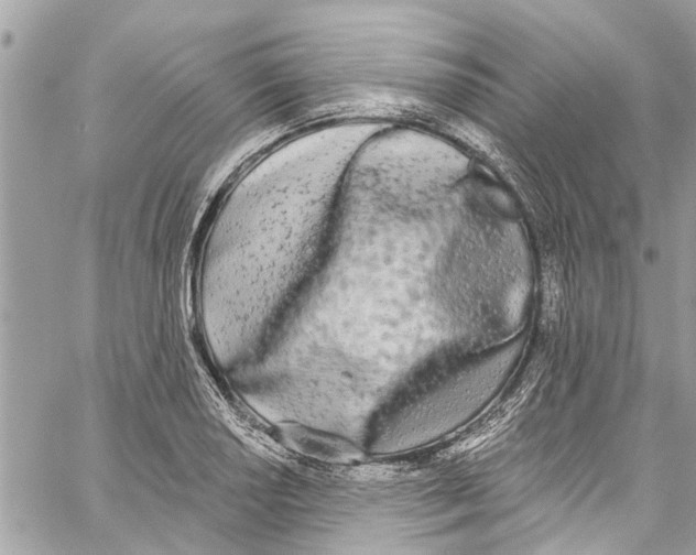 X0000060271034200511181414