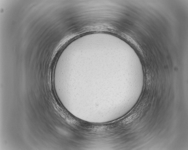 X0000060271035200511181414