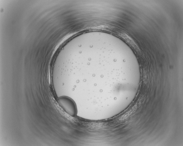 X0000060271036200511181414