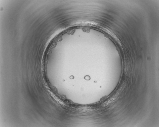 X0000060271037200511181414