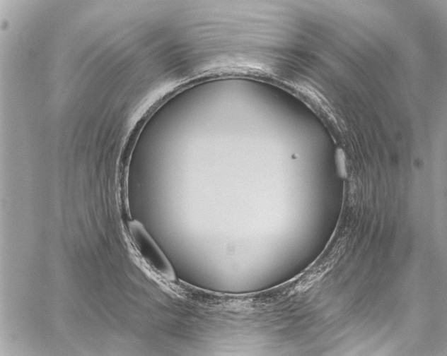 X0000060271038200511181414