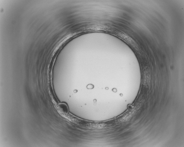 X0000060271039200511181414