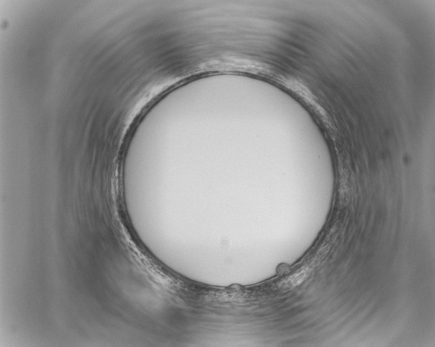 X0000060271040200511181414