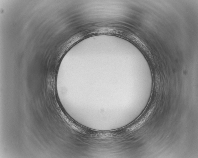 X0000060271041200511181414