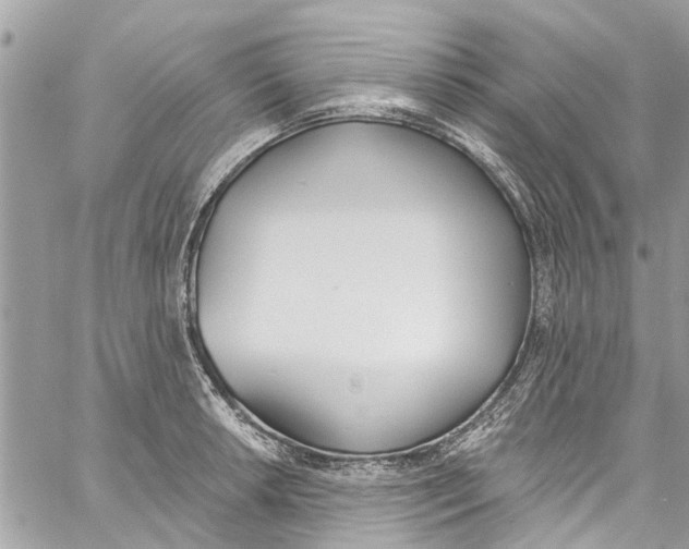 X0000060271042200511181414