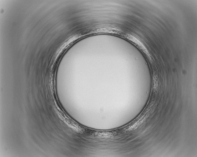 X0000060271043200511181414